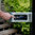 Tür 04 - Masterbuilt® Gravity Series™ 800 Digitaler Holzkohle Grill & Smoker